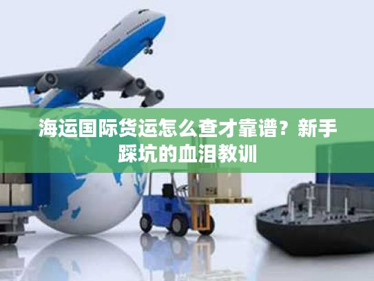海运国际货运怎么查才靠谱？新手踩坑的血泪教训