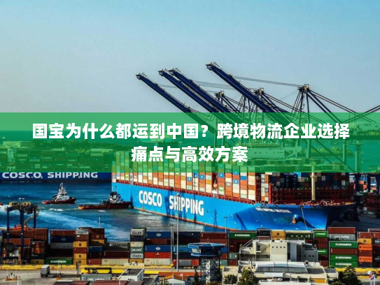 国宝为什么都运到中国？跨境物流企业选择痛点与高效方案