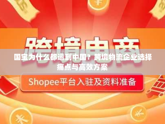 国宝为什么都运到中国？跨境物流企业选择痛点与高效方案