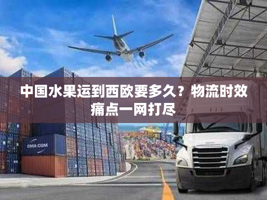 中国水果运到西欧要多久？物流时效痛点一网打尽