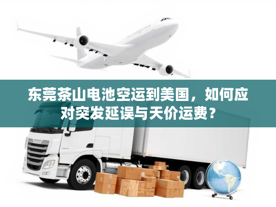东莞茶山电池空运到美国，如何应对突发延误与天价运费？