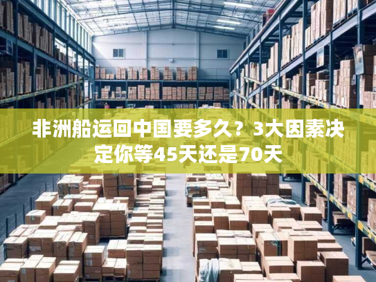 非洲船运回中国要多久？3大因素决定你等45天还是70天
