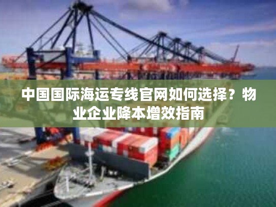 中国国际海运专线官网如何选择？物业企业降本增效指南