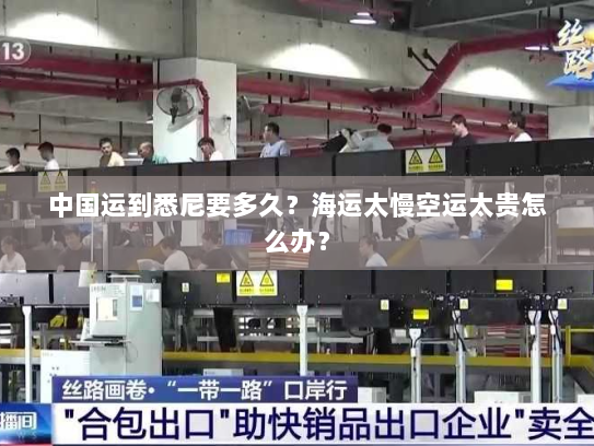 中国运到悉尼要多久?海运太慢空运太贵怎么办?