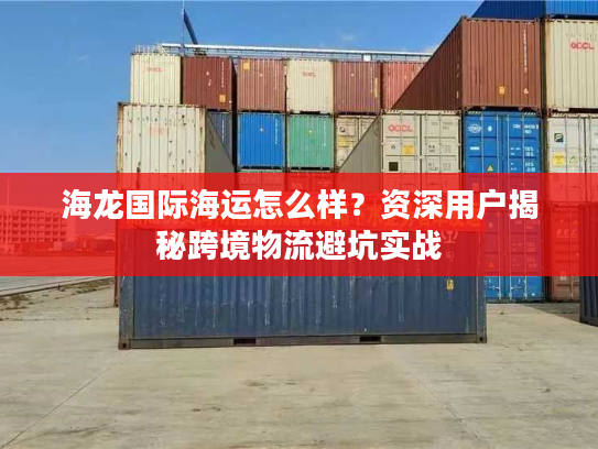 海龙国际海运怎么样？资深用户揭秘跨境物流避坑实战