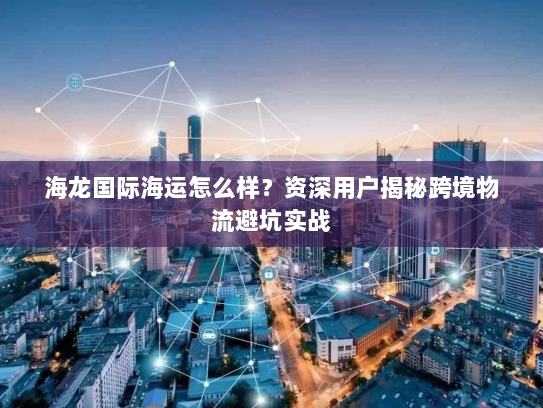 海龙国际海运怎么样？资深用户揭秘跨境物流避坑实战