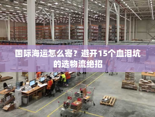 国际海运怎么寄？避开15个血泪坑的选物流绝招