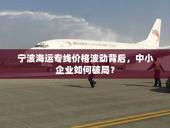 宁波海运专线价格波动背后，中小企业如何破局？
