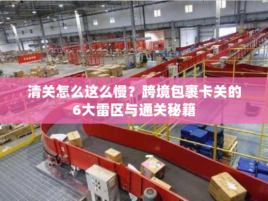清关怎么这么慢？跨境包裹卡关的6大雷区与通关秘籍