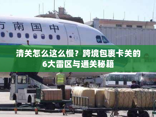 清关怎么这么慢？跨境包裹卡关的6大雷区与通关秘籍