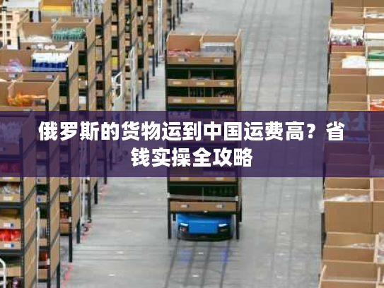 俄罗斯的货物运到中国运费高？省钱实操全攻略