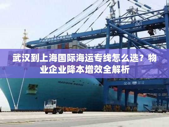 武汉到上海国际海运专线怎么选？物业企业降本增效全解析