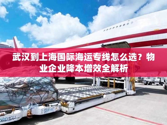 武汉到上海国际海运专线怎么选？物业企业降本增效全解析