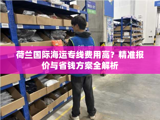 荷兰国际海运专线费用高？精准报价与省钱方案全解析