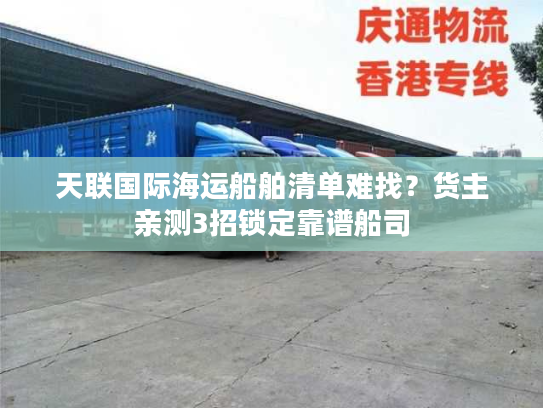 天联国际海运船舶清单难找？货主亲测3招锁定靠谱船司