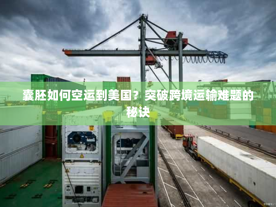 囊胚如何空运到美国？突破跨境运输难题的秘诀