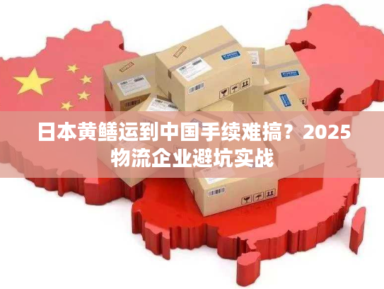 日本黄鳝运到中国手续难搞？2025物流企业避坑实战