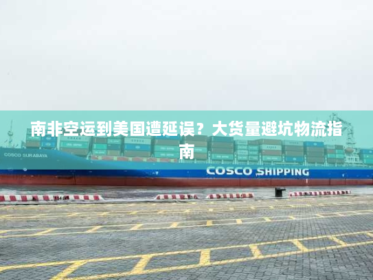 南非空运到美国遭延误?大货量避坑物流指南 南非空运到美国遭延误?大货量避坑物流指南