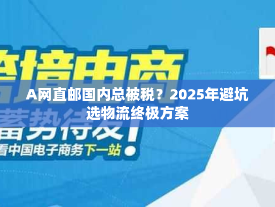 A网直邮国内总被税？2025年避坑选物流终极方案