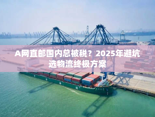 A网直邮国内总被税？2025年避坑选物流终极方案