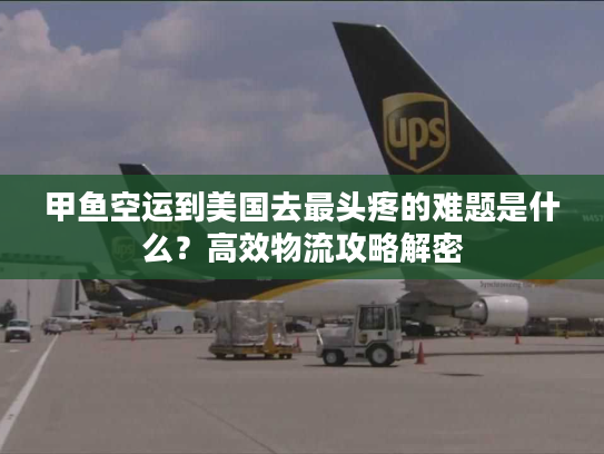 甲鱼空运到美国去最头疼的难题是什么？高效物流攻略解密