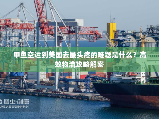 甲鱼空运到美国去最头疼的难题是什么?高效物流攻略解密