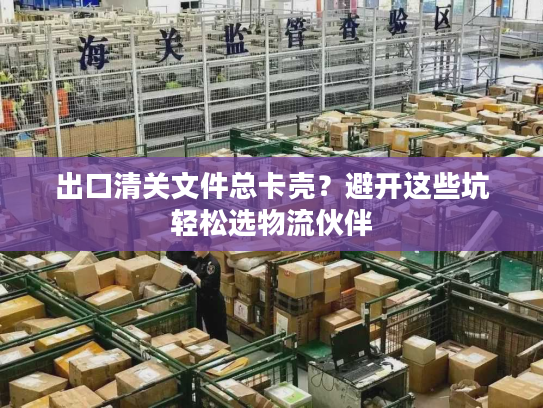 出口清关文件总卡壳？避开这些坑轻松选物流伙伴
