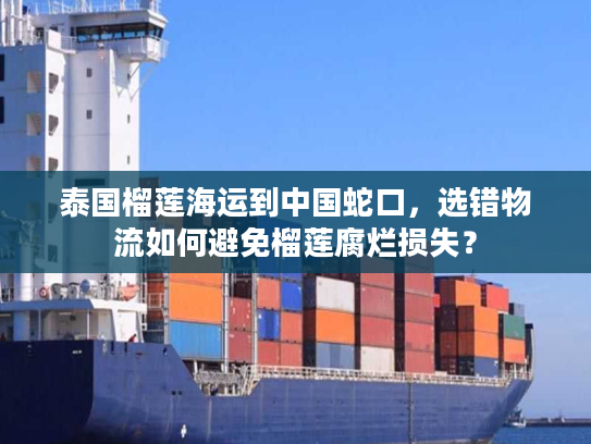 泰国榴莲海运到中国蛇口，选错物流如何避免榴莲腐烂损失？