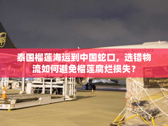 泰国榴莲海运到中国蛇口，选错物流如何避免榴莲腐烂损失？