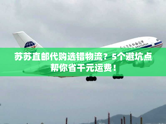 苏苏直邮代购选错物流？5个避坑点帮你省千元运费！