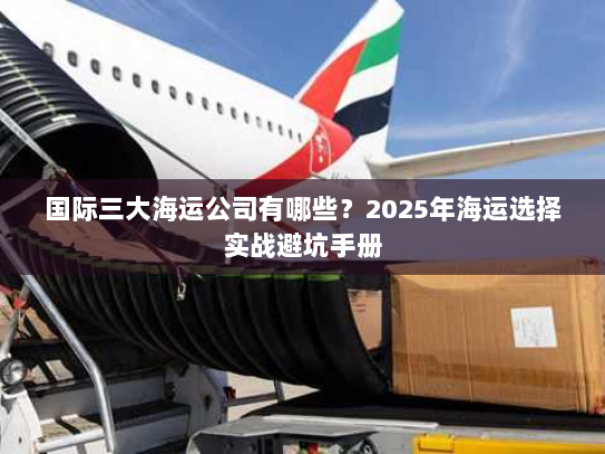 国际三大海运公司有哪些？2025年海运选择实战避坑手册