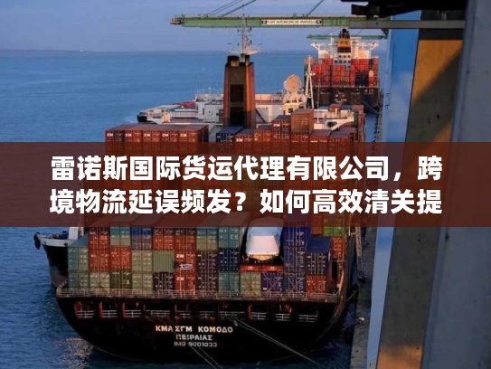 雷诺斯国际货运代理有限公司，跨境物流延误频发？如何高效清关提速货物