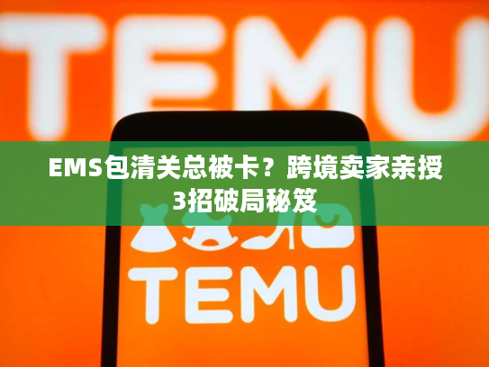EMS包清关总被卡？跨境卖家亲授3招破局秘笈