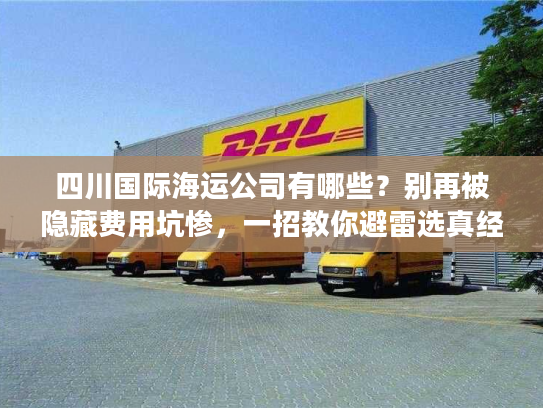 四川国际海运公司有哪些？别再被隐藏费用坑惨，一招教你避雷选真经
