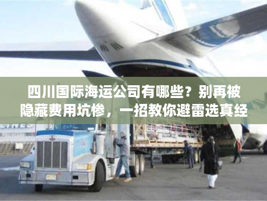 四川国际海运公司有哪些？别再被隐藏费用坑惨，一招教你避雷选真经