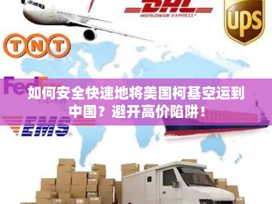 如何安全快速地将美国柯基空运到中国？避开高价陷阱！