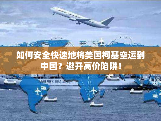 如何安全快速地将美国柯基空运到中国？避开高价陷阱！