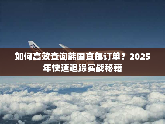 如何高效查询韩国直邮订单？2025年快速追踪实战秘籍