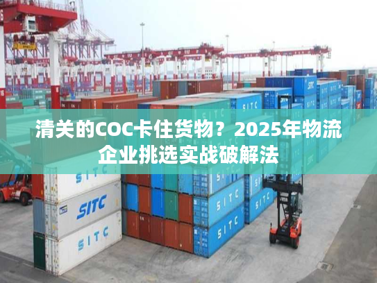 清关的COC卡住货物?2025年物流企业挑选实战破解法 清关的COC卡住货物?2025年物流企业挑选实战破解法