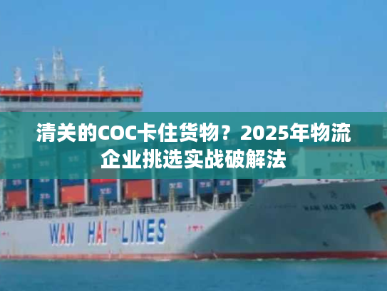 清关的COC卡住货物?2025年物流企业挑选实战破解法 清关的COC卡住货物?2025年物流企业挑选实战破解法
