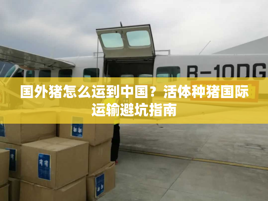 国外猪怎么运到中国？活体种猪国际运输避坑指南