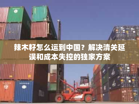 辣木籽怎么运到中国？解决清关延误和成本失控的独家方案