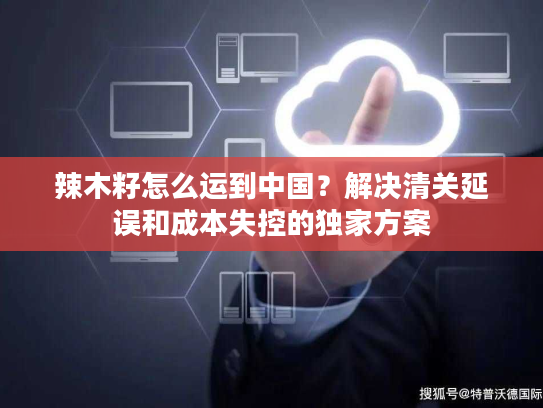 辣木籽怎么运到中国？解决清关延误和成本失控的独家方案