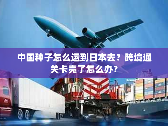 中国种子怎么运到日本去？跨境通关卡壳了怎么办？