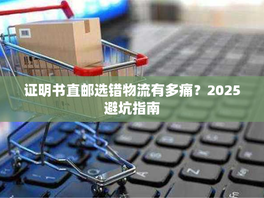 证明书直邮选错物流有多痛？2025避坑指南