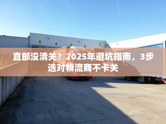 直邮没清关？2025年避坑指南，3步选对物流商不卡关