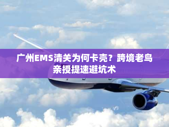 广州EMS清关为何卡壳？跨境老鸟亲授提速避坑术