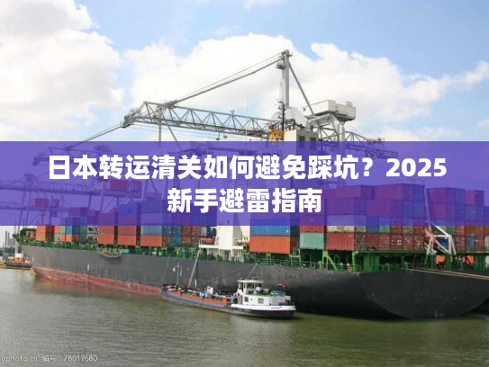 日本转运清关如何避免踩坑？2025新手避雷指南