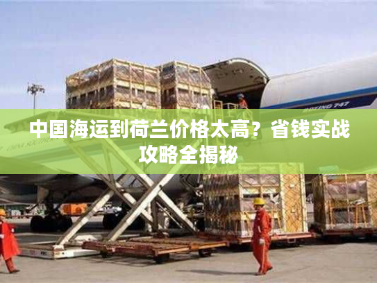 中国海运到荷兰价格太高？省钱实战攻略全揭秘