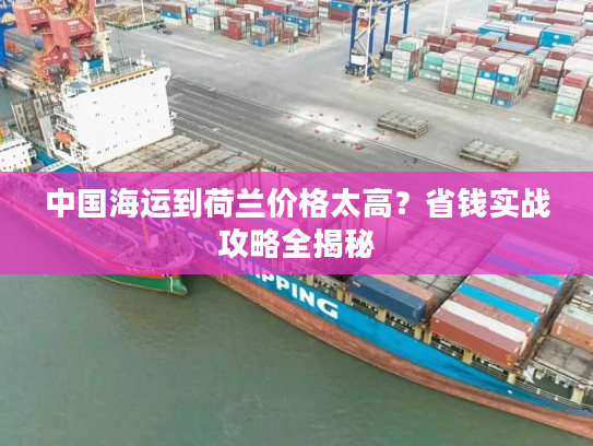 中国海运到荷兰价格太高？省钱实战攻略全揭秘